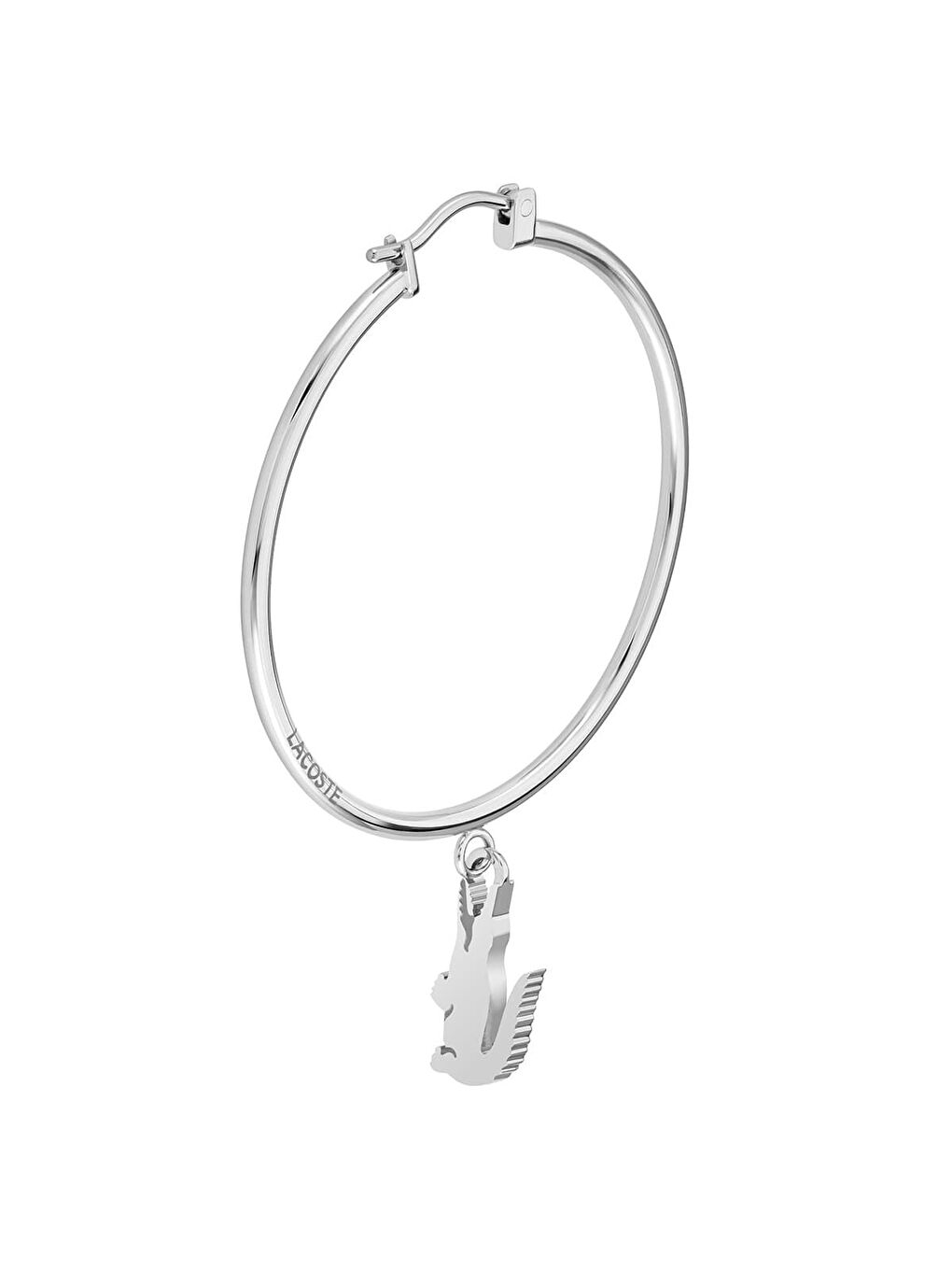 Gri LACJ2040375 Kadın Küpe-1