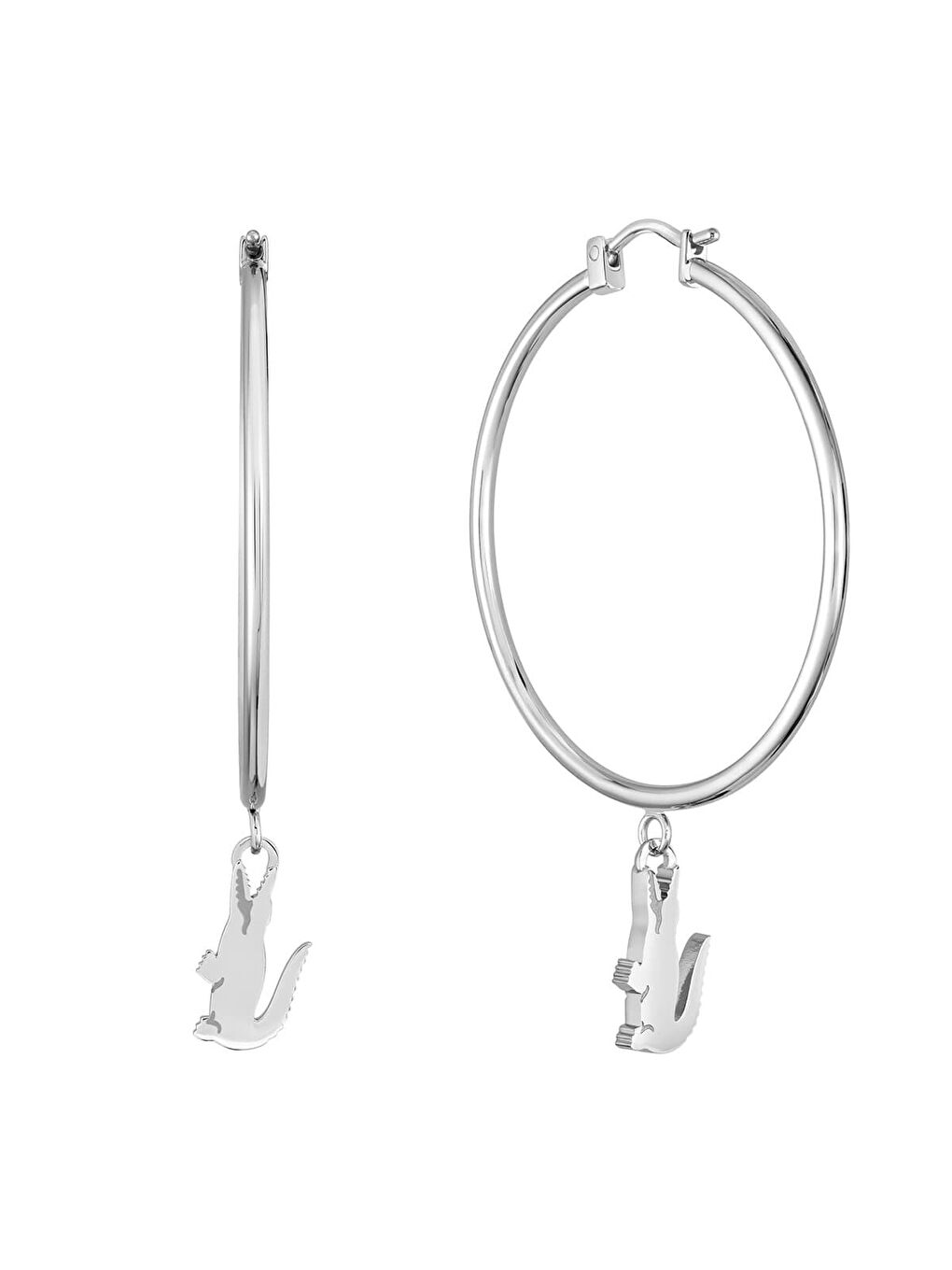 Gri LACJ2040375 Kadın Küpe-2