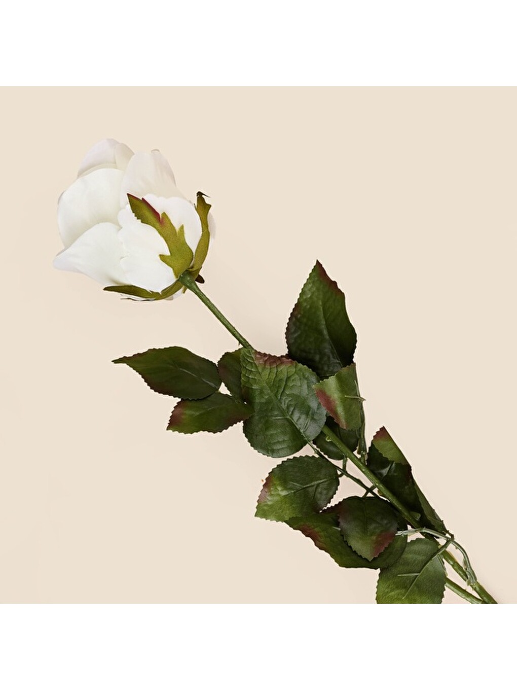 Deco Gül Yapay Dal Çiçek - Beyaz - 74,5 cm-2