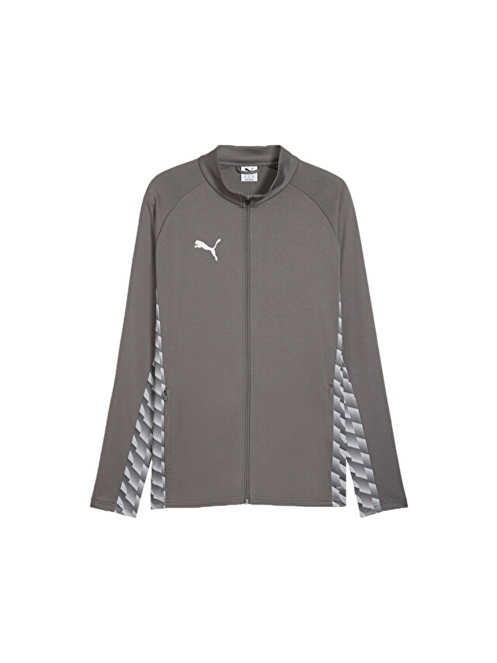 Teamliga26 Training Jacket Erkek Futbol Kamp Ceketi 65972713 Gri