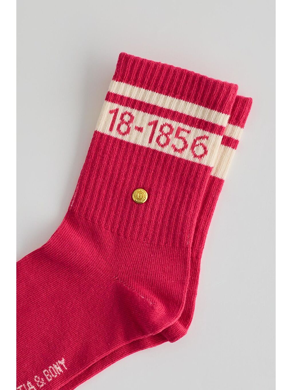 Kadın Şeritli Soket Çorap Pembe-1