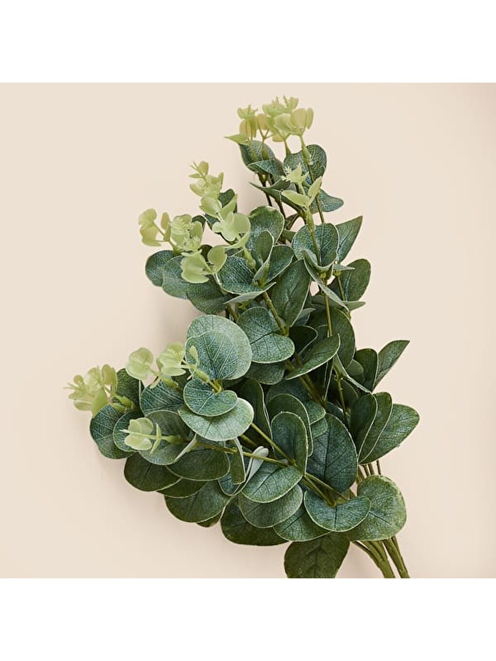 Deco Okaliptus 4'lü Dal Çiçek - Yeşil - 48 cm-1