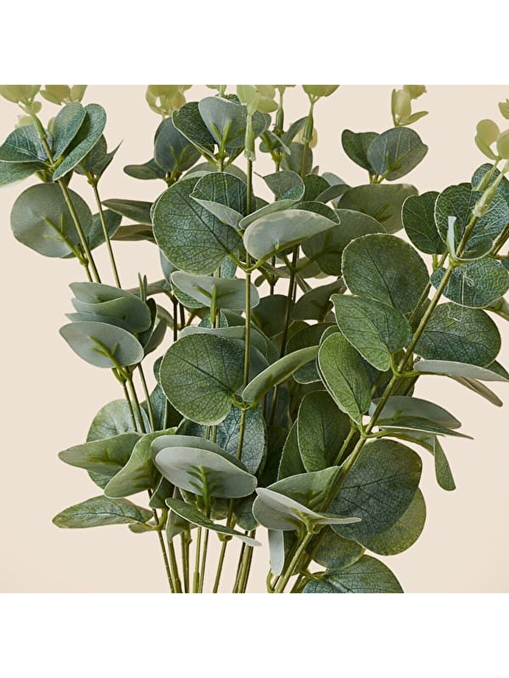 Deco Okaliptus 4'lü Dal Çiçek - Yeşil - 48 cm-2