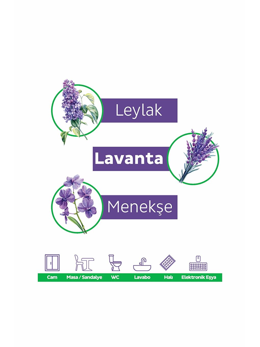 Yüzey Temizlik Havlusu Mor Bitkiler 12x100 (1200 Yaprak)-3