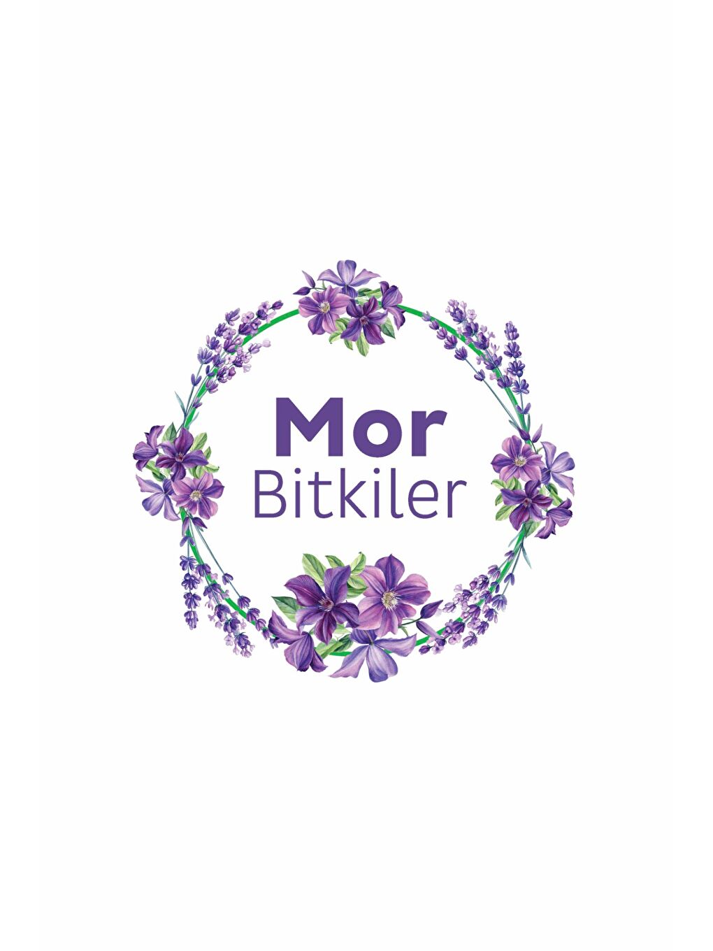 Yüzey Temizlik Havlusu Pembe Çiçekler+Turuncu Meyveler+Mor Bitkiler 3x100 (300 Yaprak)-4