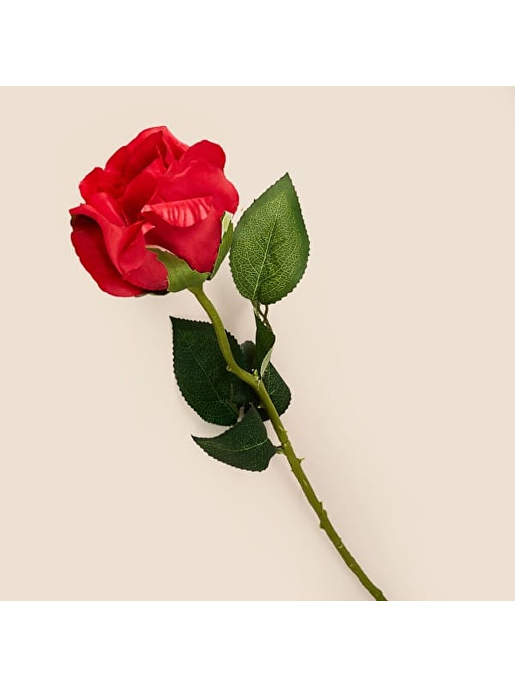 Deco Gül Yapay Dal Çiçek - Kırmızı - 55 cm-2