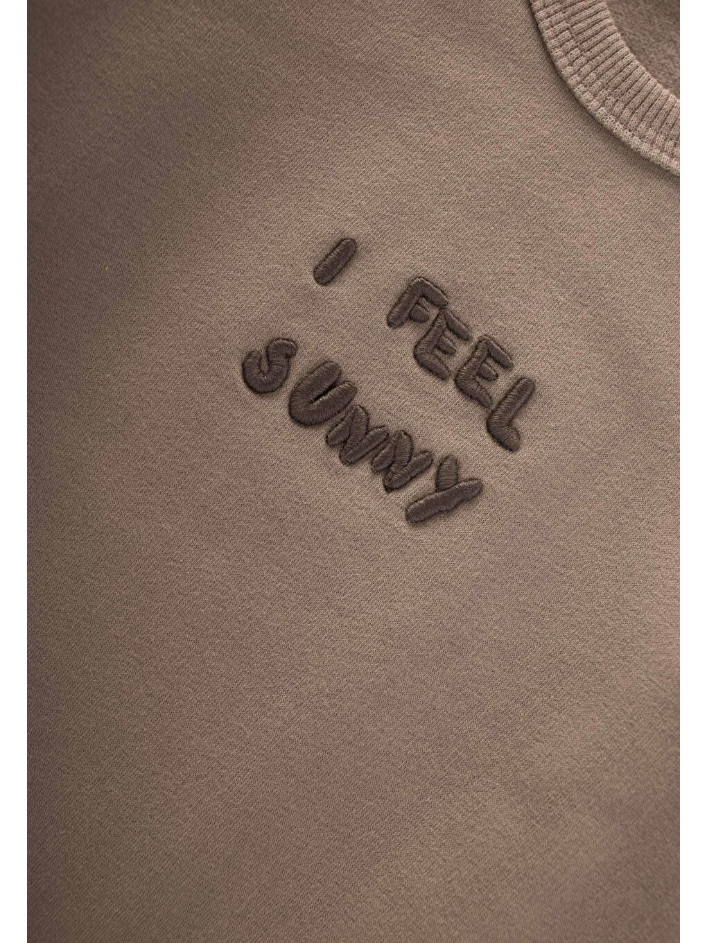 Bej Nakışlı Sweatshirt 1-7 Yaş S Vizon-2