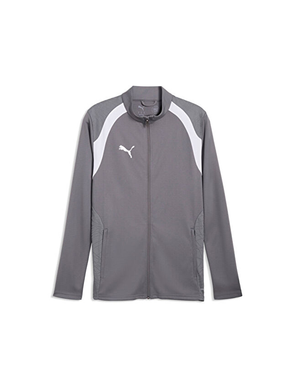 Teamfinal26 Training Jacket Erkek Futbol Kamp Ceketi 65968213 Gri