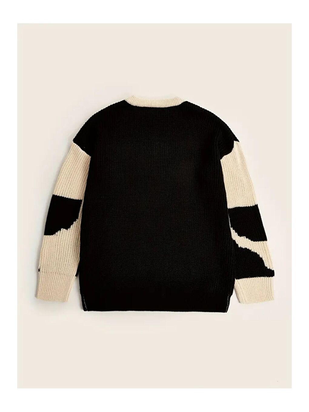 Siyah Erkek Regular Fit Triko Kazak-2