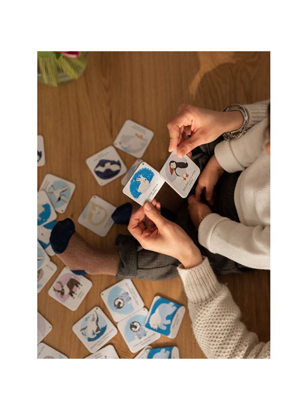 Animals to Save Polar Ice-1