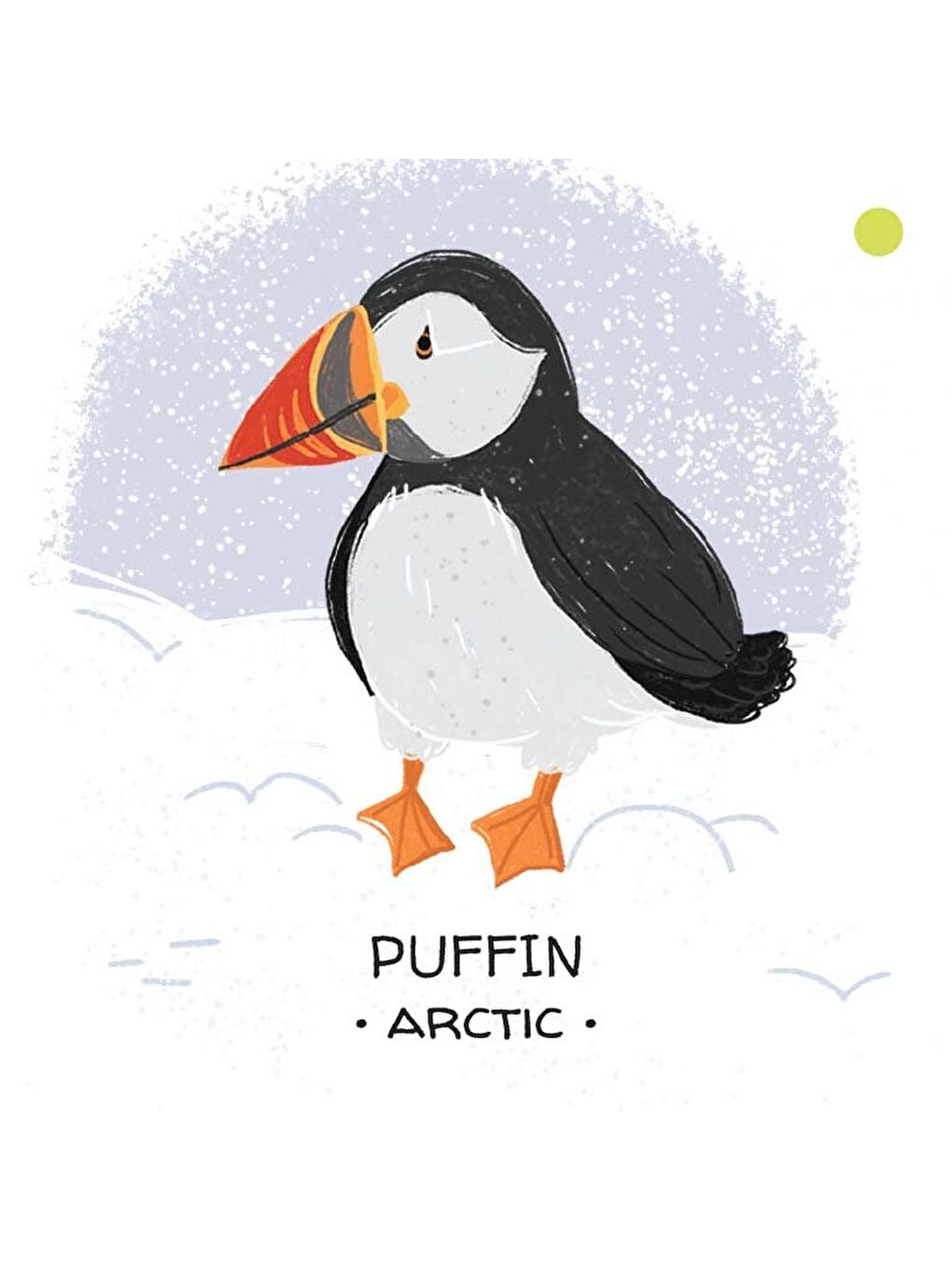 Animals to Save Polar Ice-3