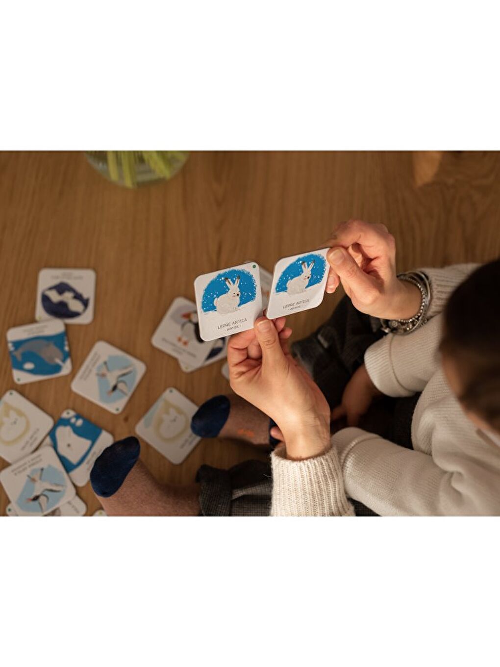 Animals to Save Polar Ice-6