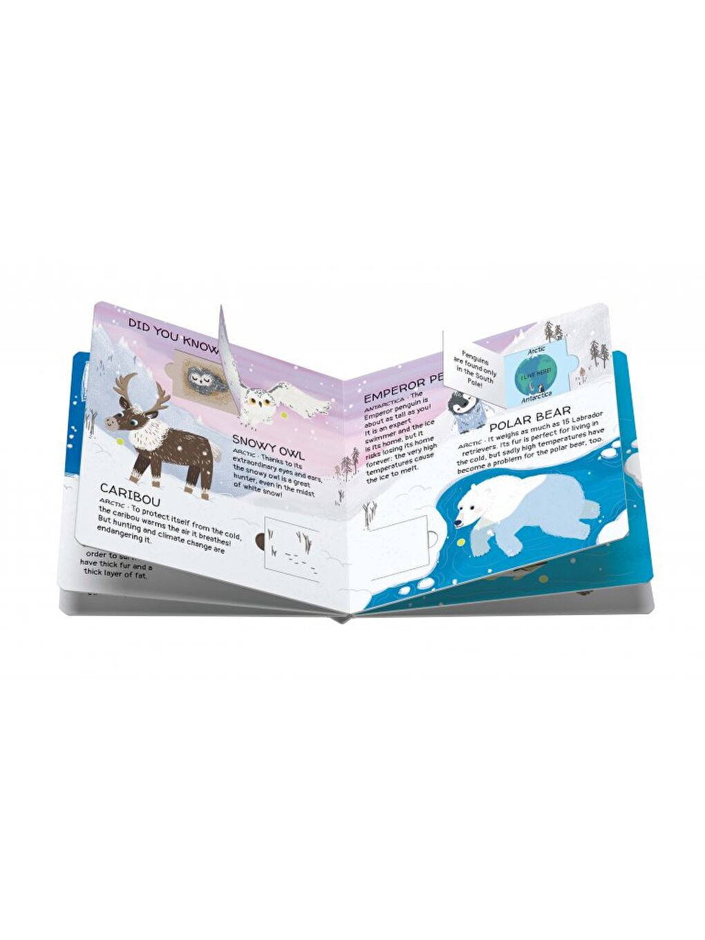 Animals to Save Polar Ice-7