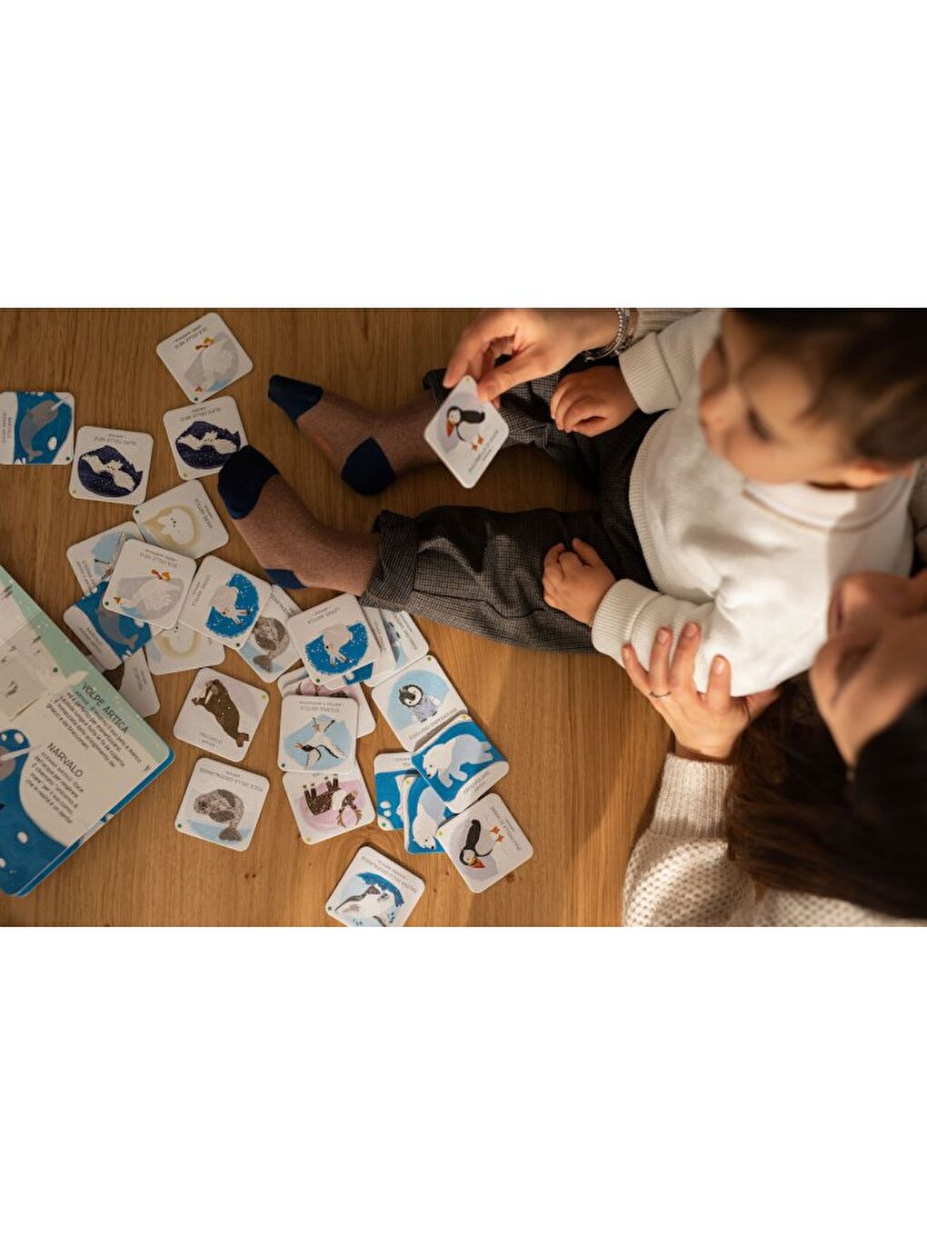 Animals to Save Polar Ice-8