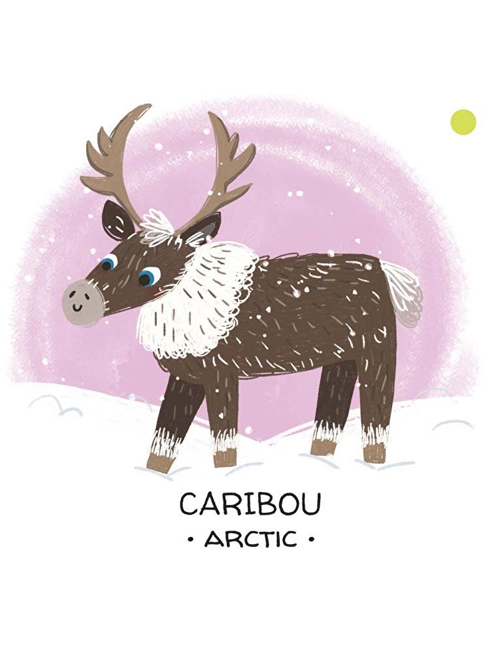 Animals to Save Polar Ice-9