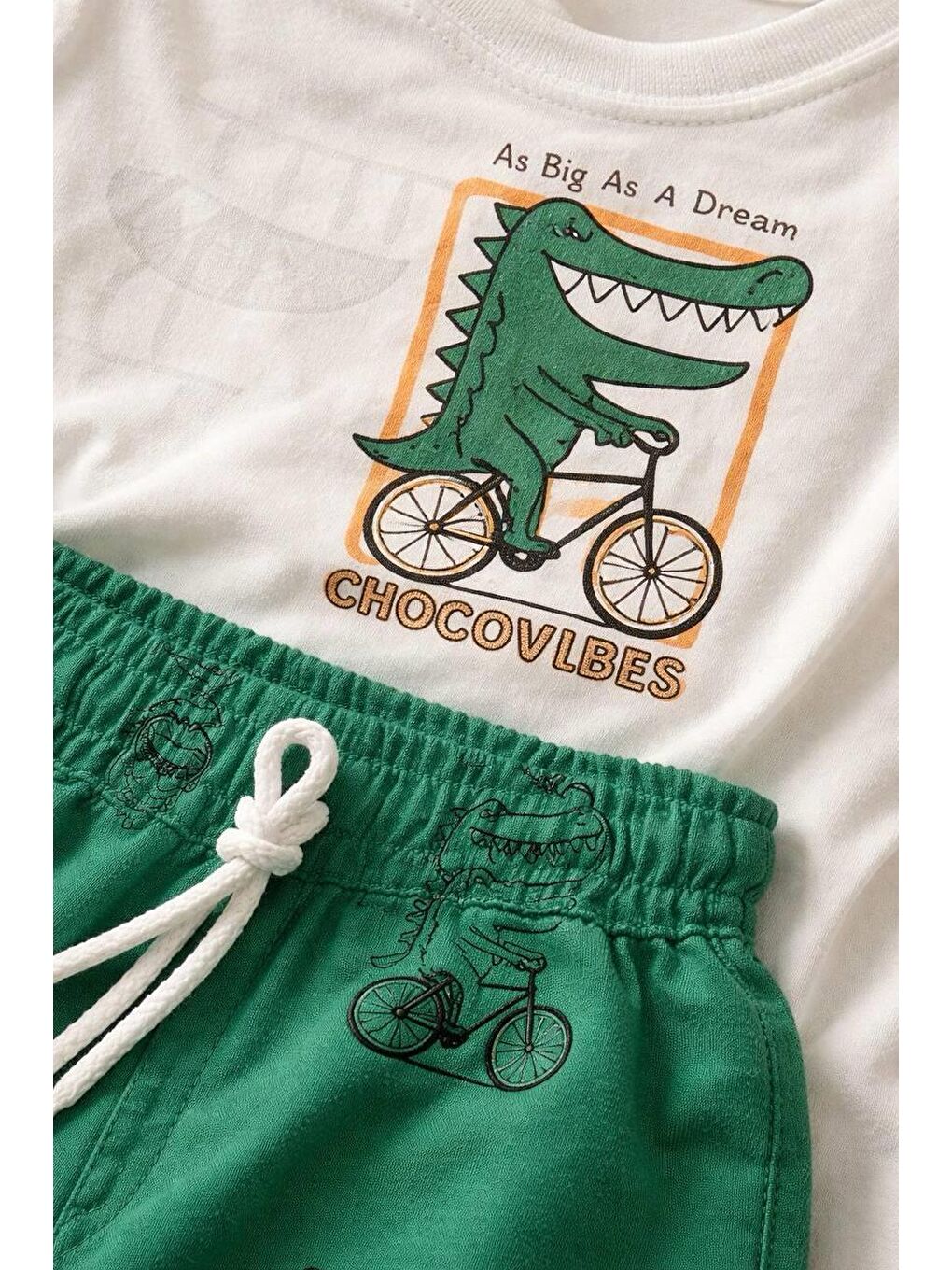 Gri Erkek Çocuk Dinozor Baskılı Pamuklu Altüst Takım-2