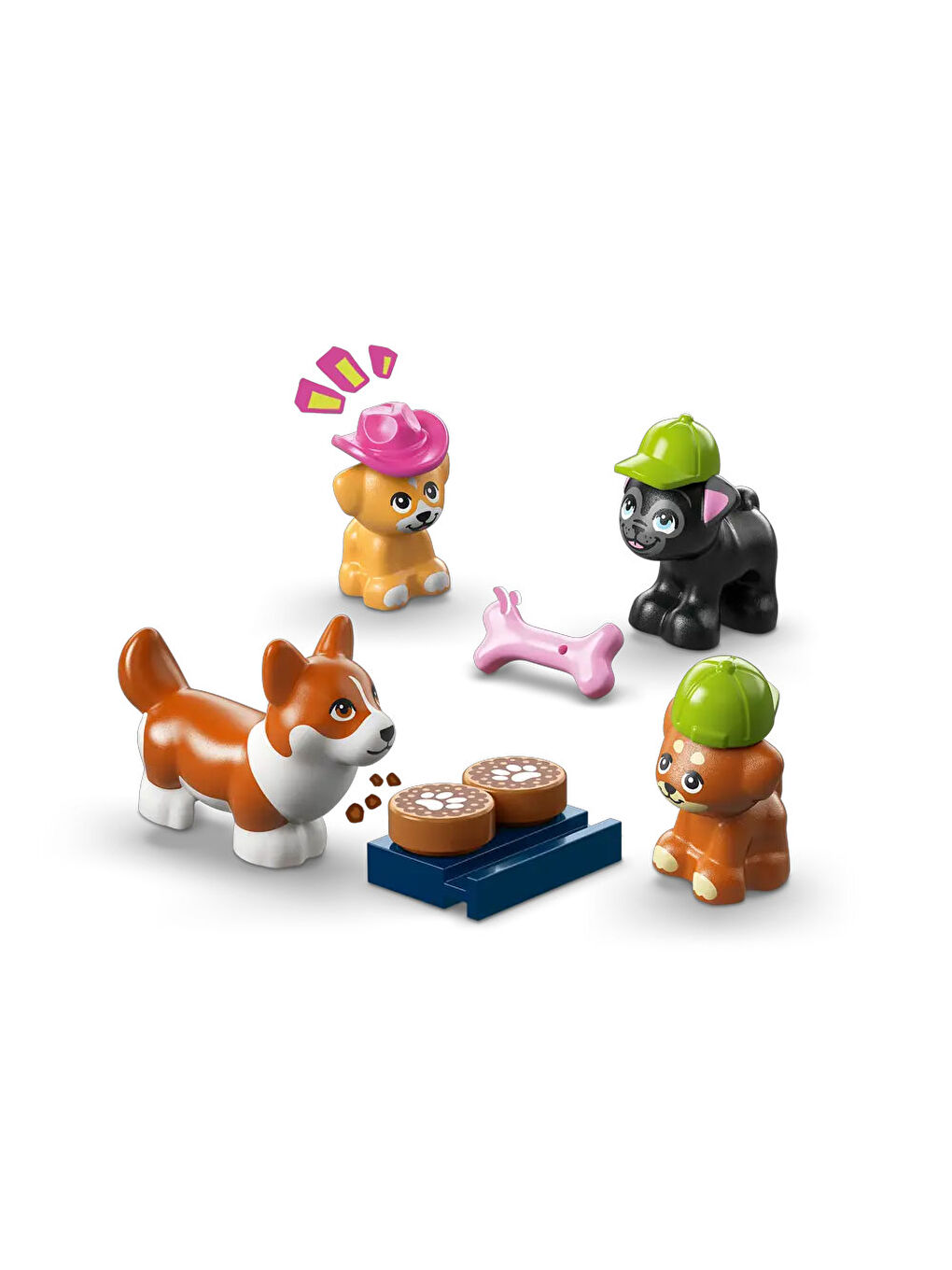 Friends Köpek Ödülleri Pastanesi 42677-4