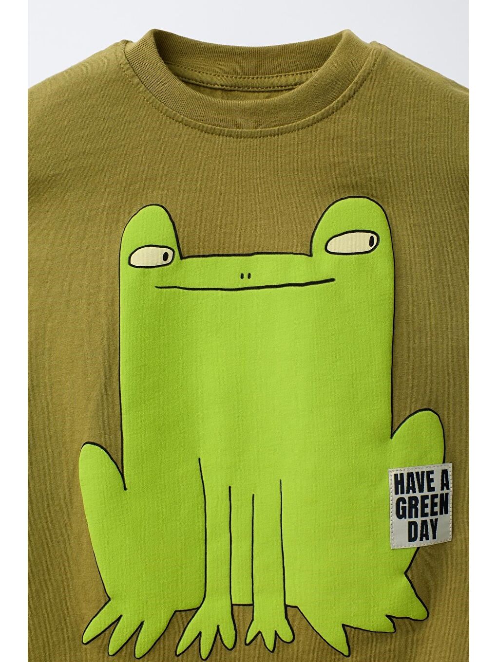 Yeşil Unisex Çocuk Pamuklu Haki Kurbağa Baskılı Tişört Şort Takım-3
