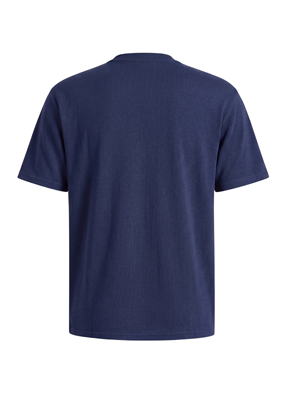 İndigo Erkek Tişört Basic Bisiklet Yaka Tişört Rahat Kesim Dökümlü Günlük Spor Tshirt-2