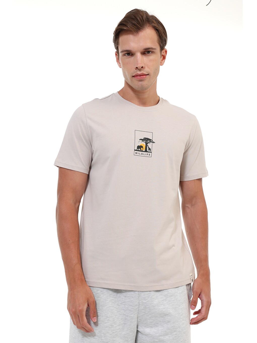 Gri ML VAHA 11NAT013 Taş Rengi Erkek Kısa Kol T-Shirt-1