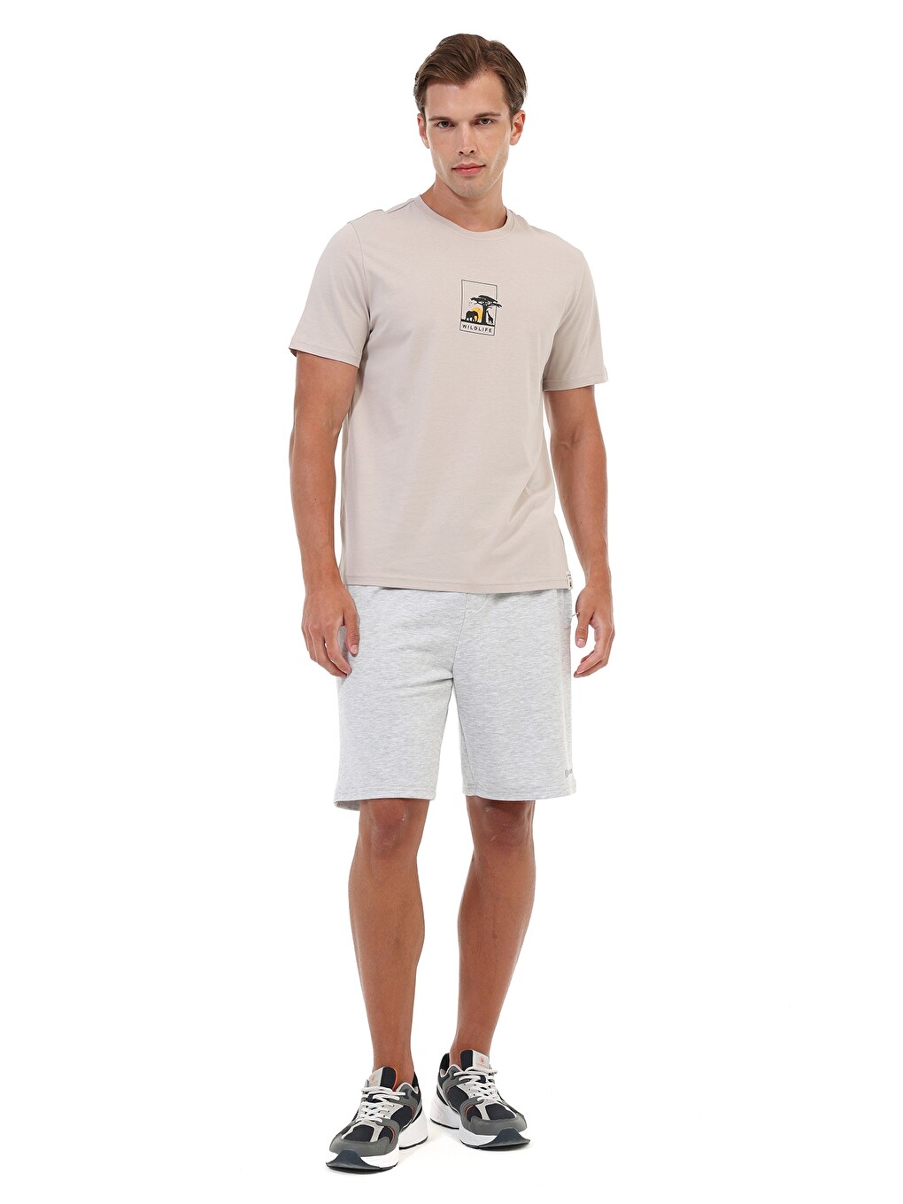 Gri ML VAHA 11NAT013 Taş Rengi Erkek Kısa Kol T-Shirt-4