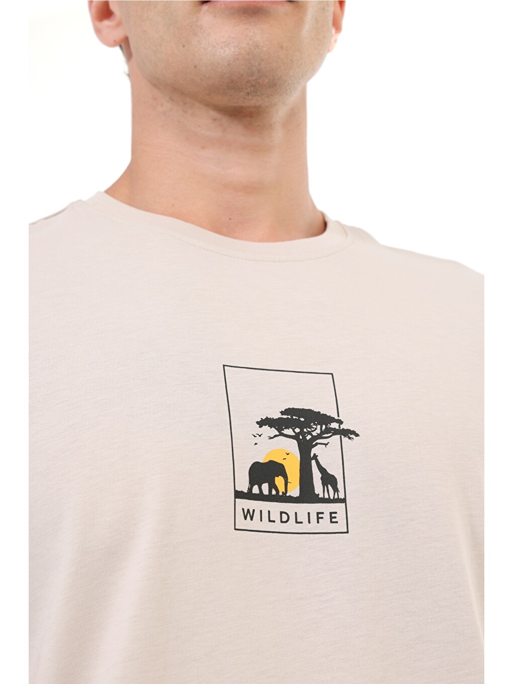 Gri ML VAHA 11NAT013 Taş Rengi Erkek Kısa Kol T-Shirt-5