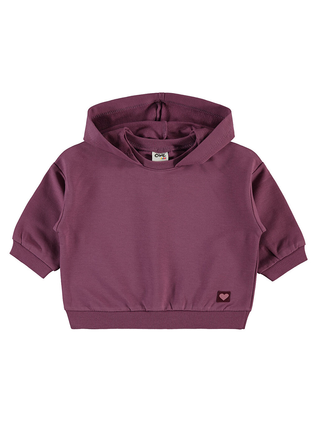 Pembe Baby Erkek Bebek Kapüşonlu Sweatshirt 6-18 Ay Koyu Gül Kurusu