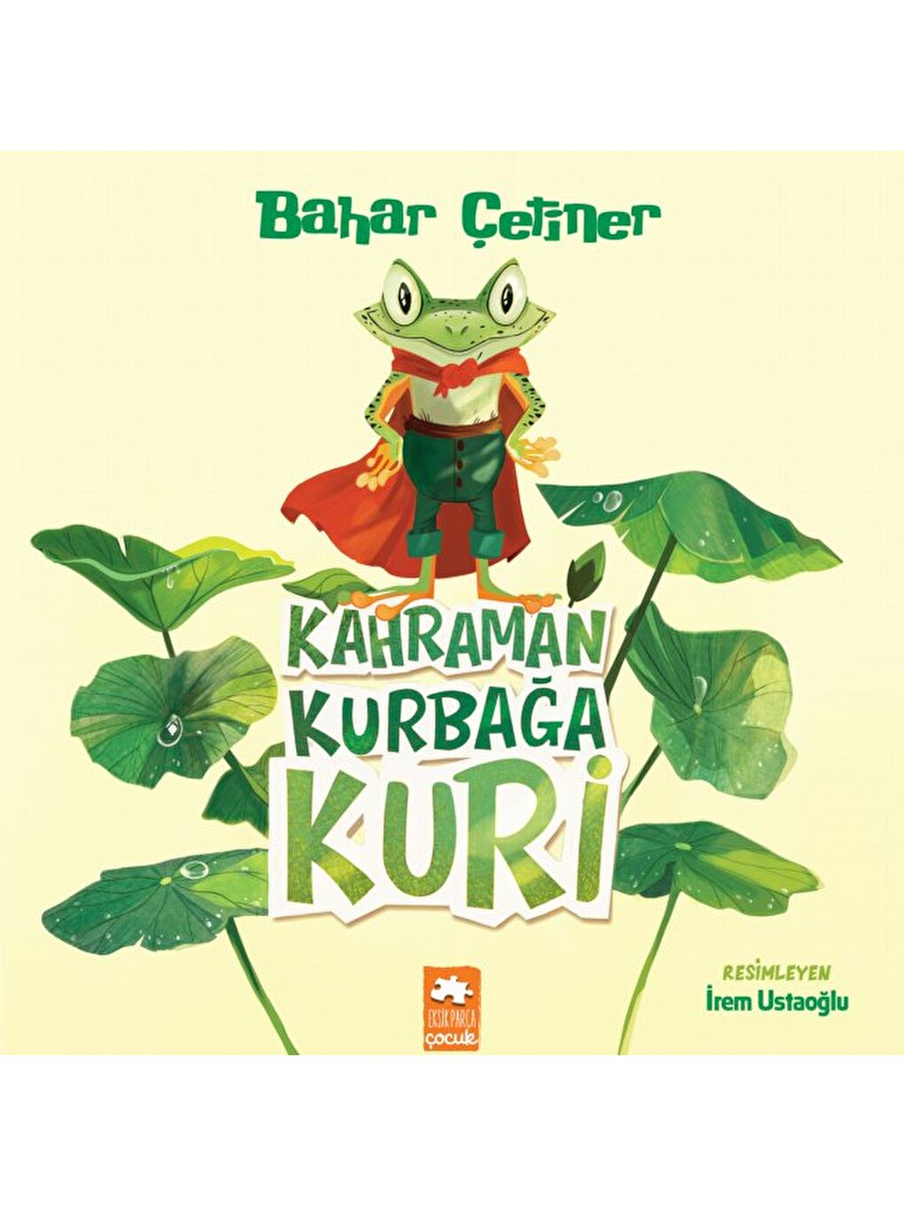 Kahraman Kurbağa Kuri