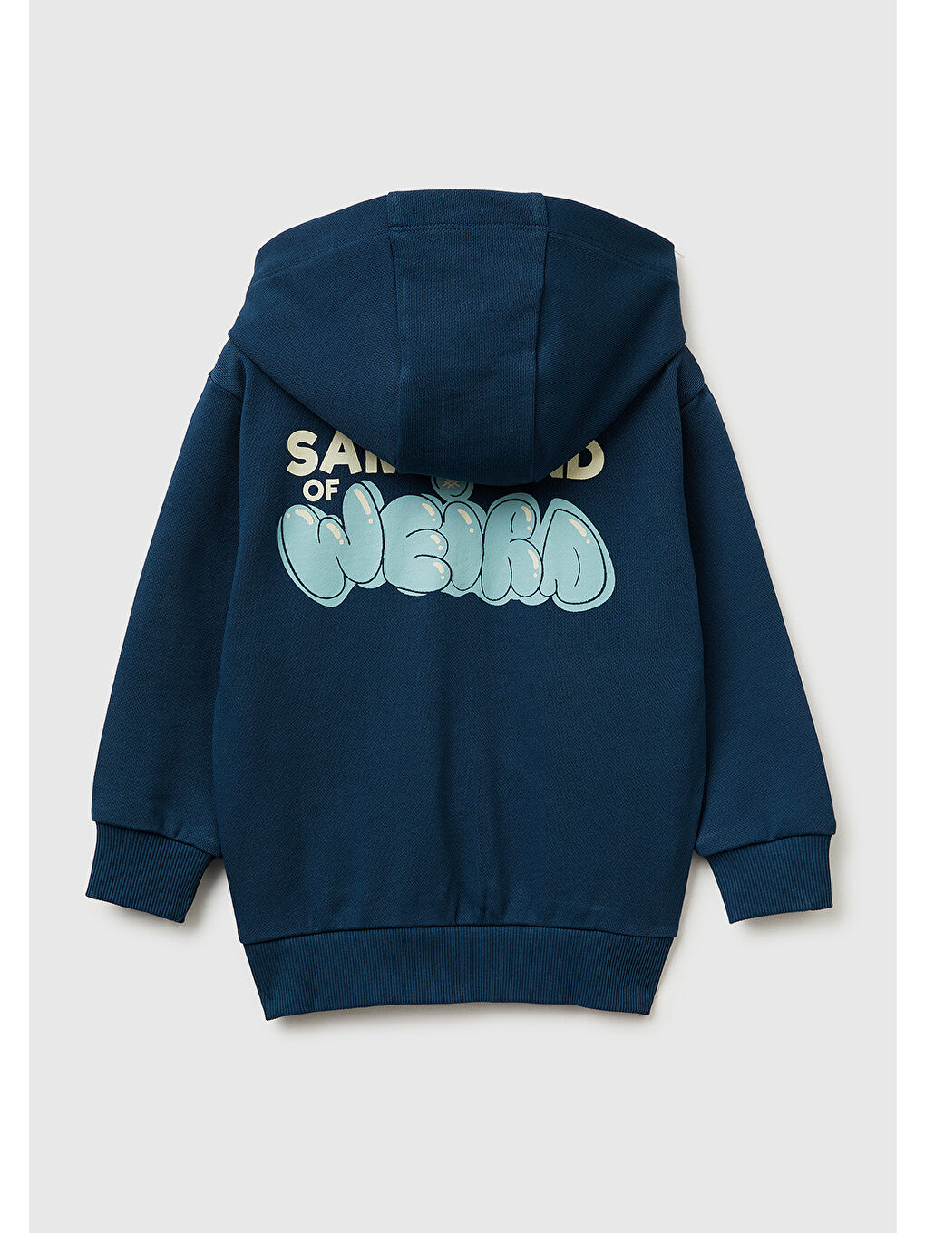 Karışık Erkek Çocuk Arkası Baskılı Fermuarlı Kapüşonlu Sweatshirt-1