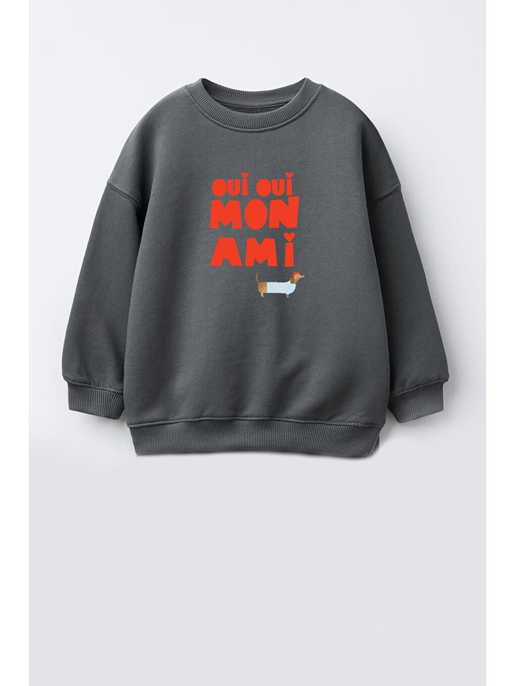 Antrasit Kız Çocuk Baskılı 3 İplik Kumaş Pamuklu Sweatshirt