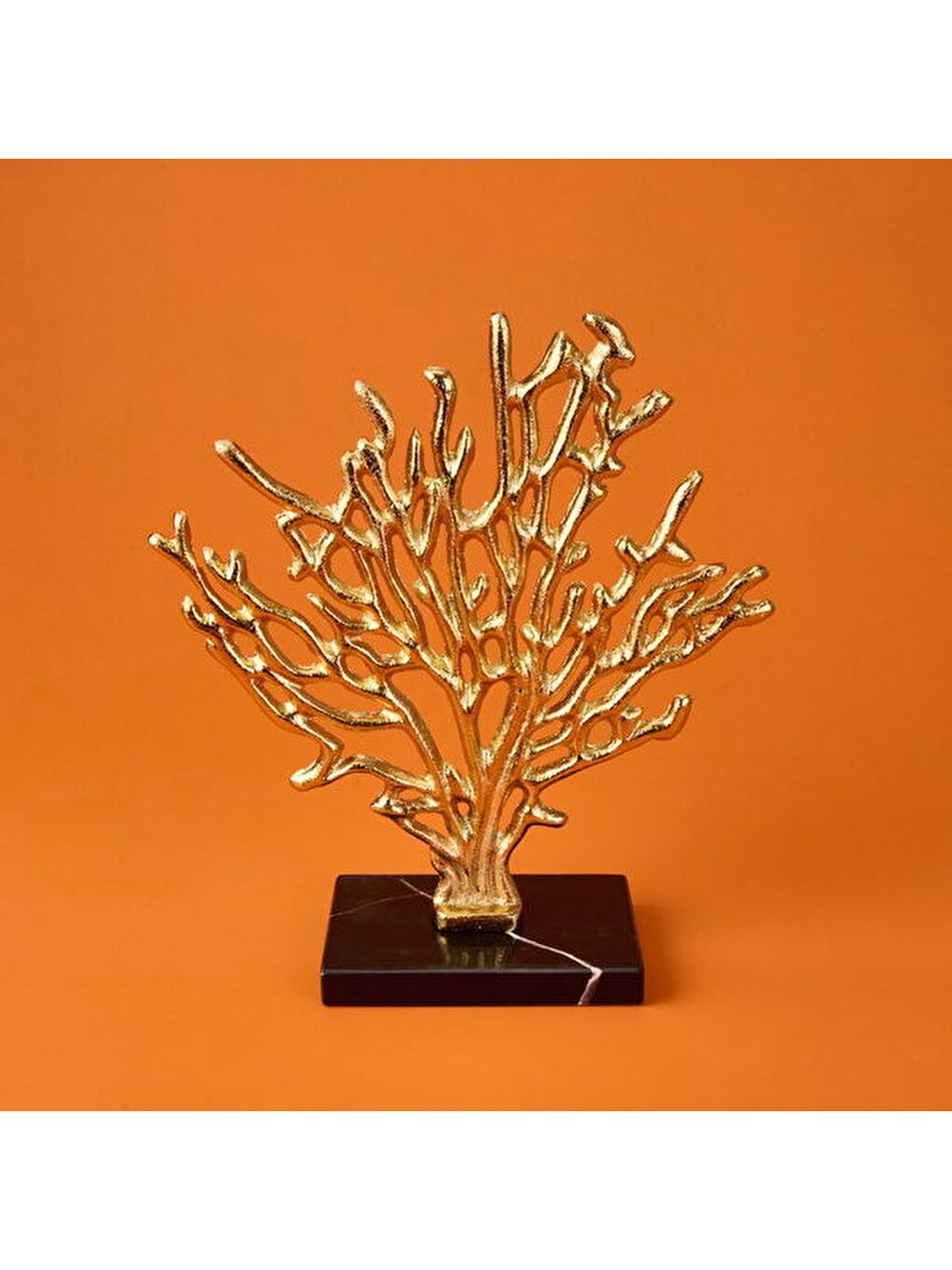 Evidea Sari Deco Corallo Dekor - Gold - 34 cm