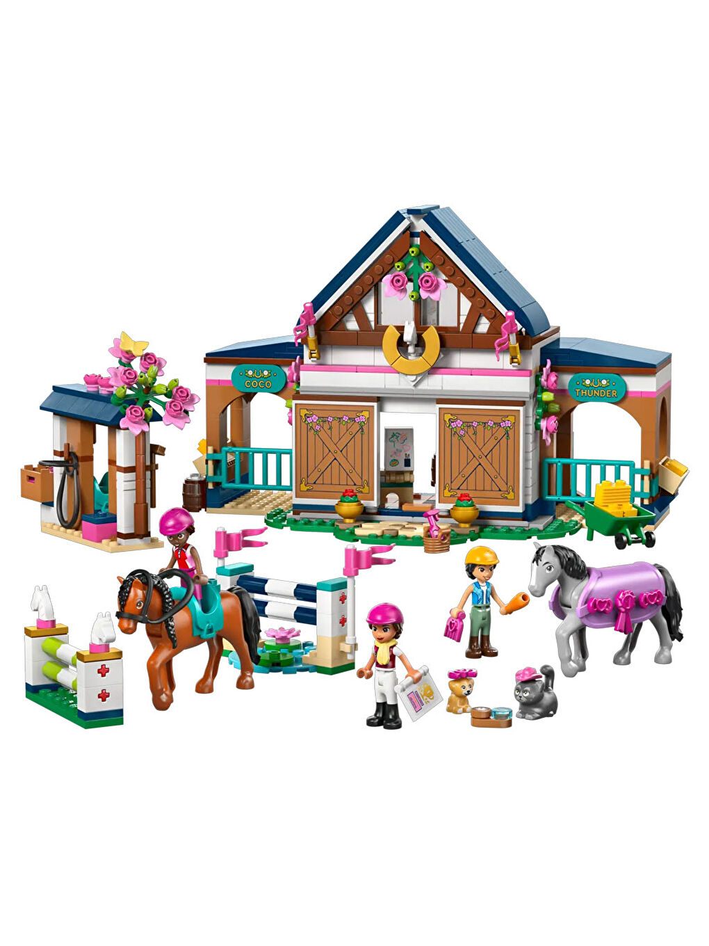 Friends At Ahırı ve Binicilik Akademisi 42688-3