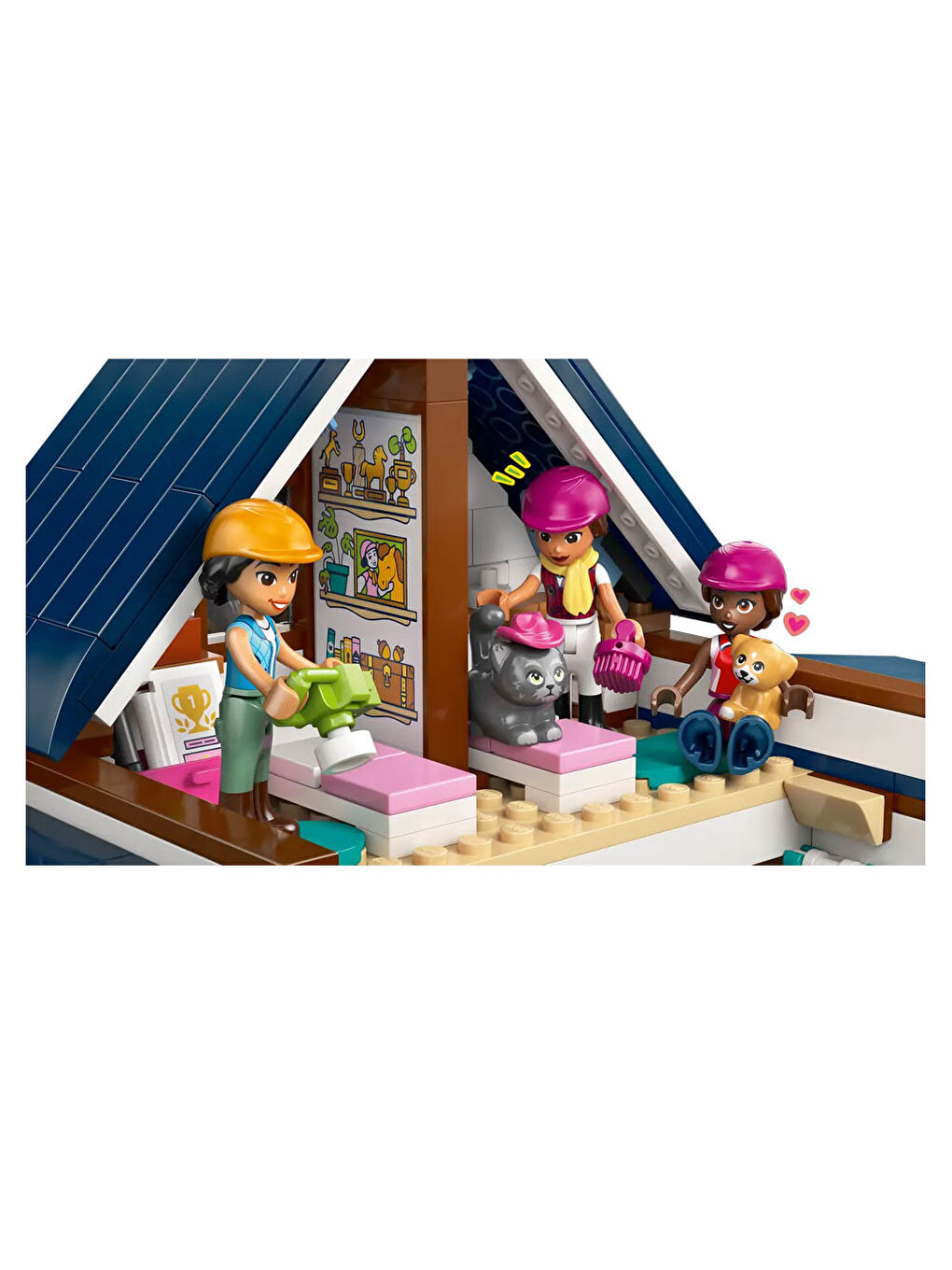 Friends At Ahırı ve Binicilik Akademisi 42688-5