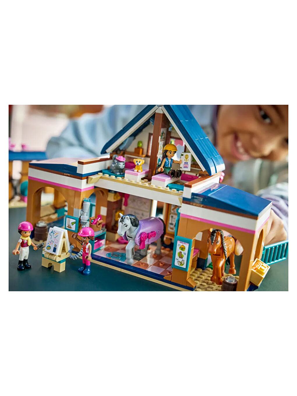 Friends At Ahırı ve Binicilik Akademisi 42688-9