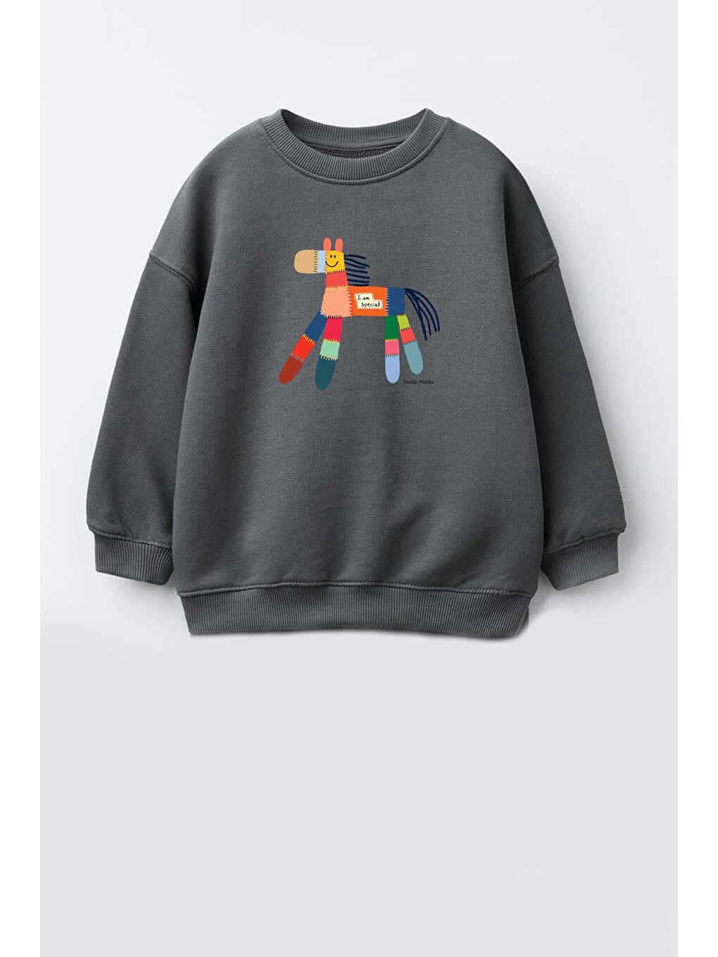 Antrasit Unisex Çocuk Baskılı 3 İplik Kumaş Pamuklu Sweatshirt