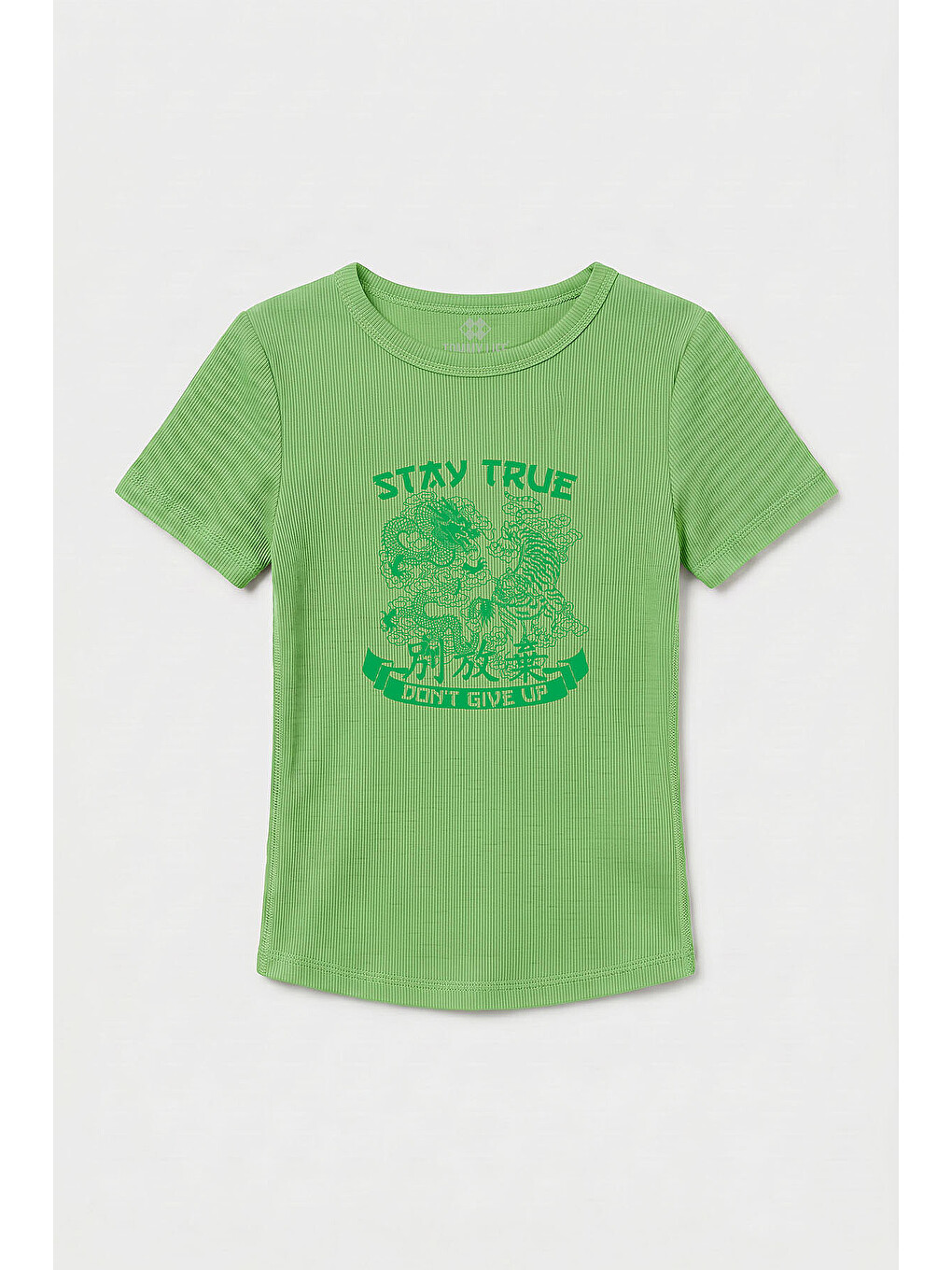Fıstık Yeşili Standart Fit Baskılı Kısa Kollu Kadın T-shirt - 97201