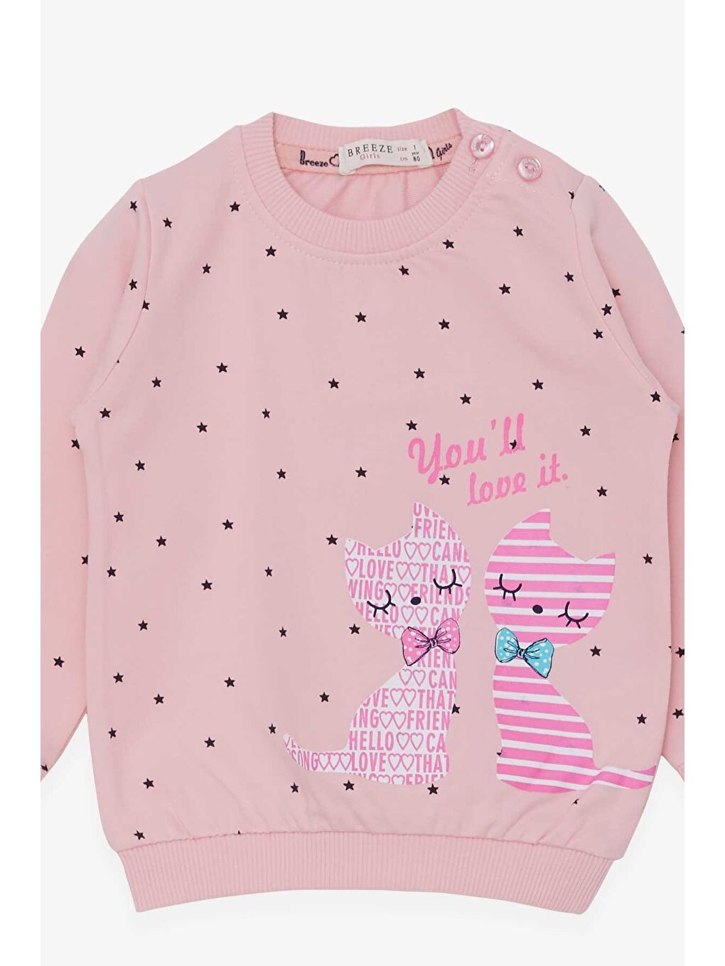 Pembe Kız Bebek Sweatshirt Mutlu Kedicikler Pudra (4 Ay)