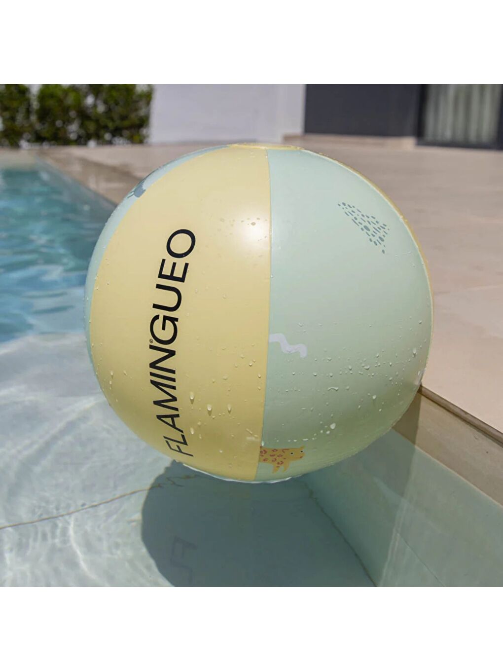 Baloo Havuz ve Deniz Oyun Topu-1