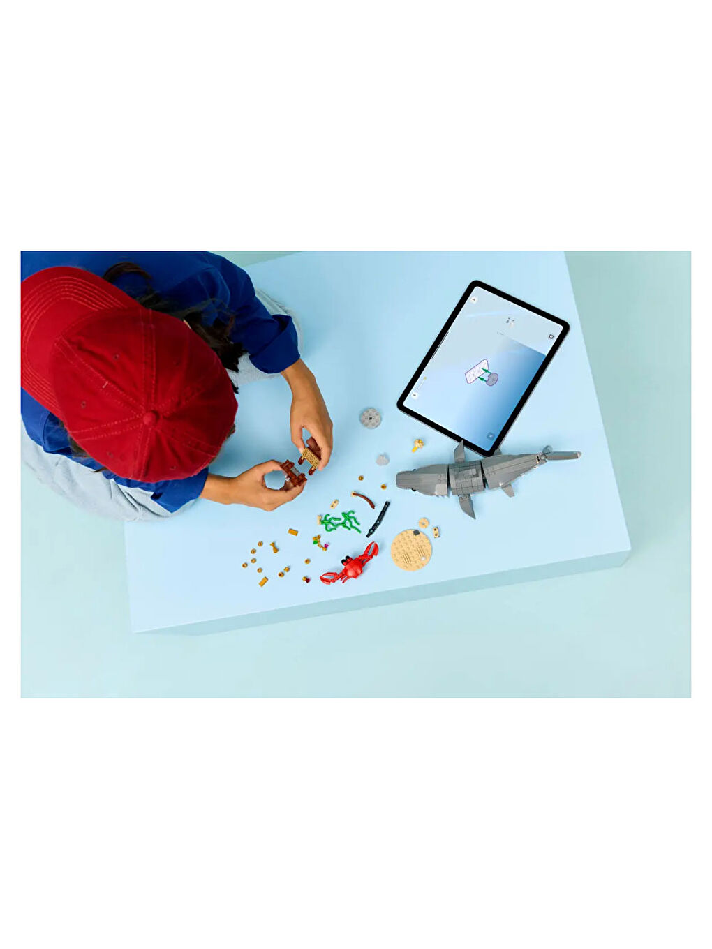 Creator Acımasız Köpek Balığı ile Hazine Sandığı 31381-5