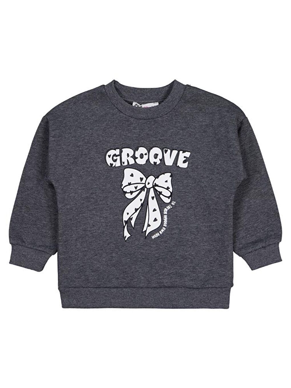 Gri Girls Groove Baskılı 2-5 Yaş Sweatshirt