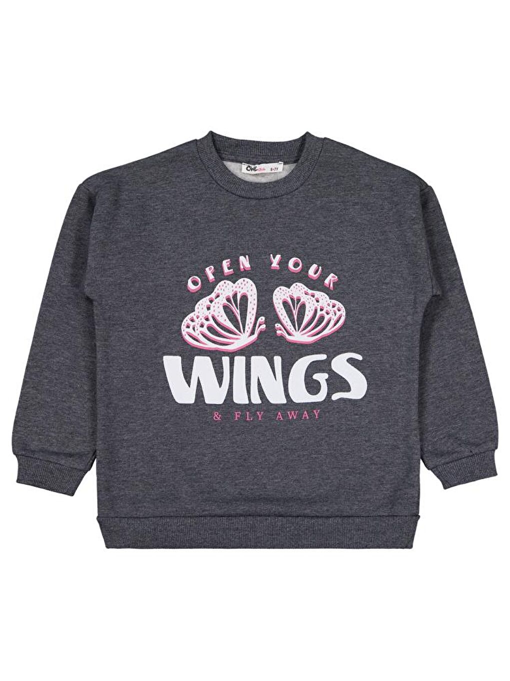 Antrasit 20252424 Girls Wings Baskılı 6-9 Yaş Sweatshirt-1