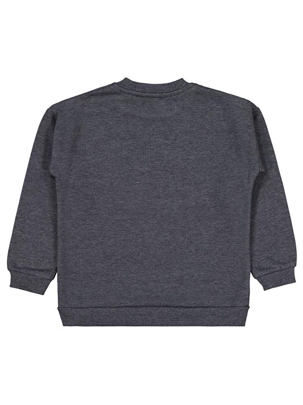 Antrasit 20252424 Girls Wings Baskılı 6-9 Yaş Sweatshirt