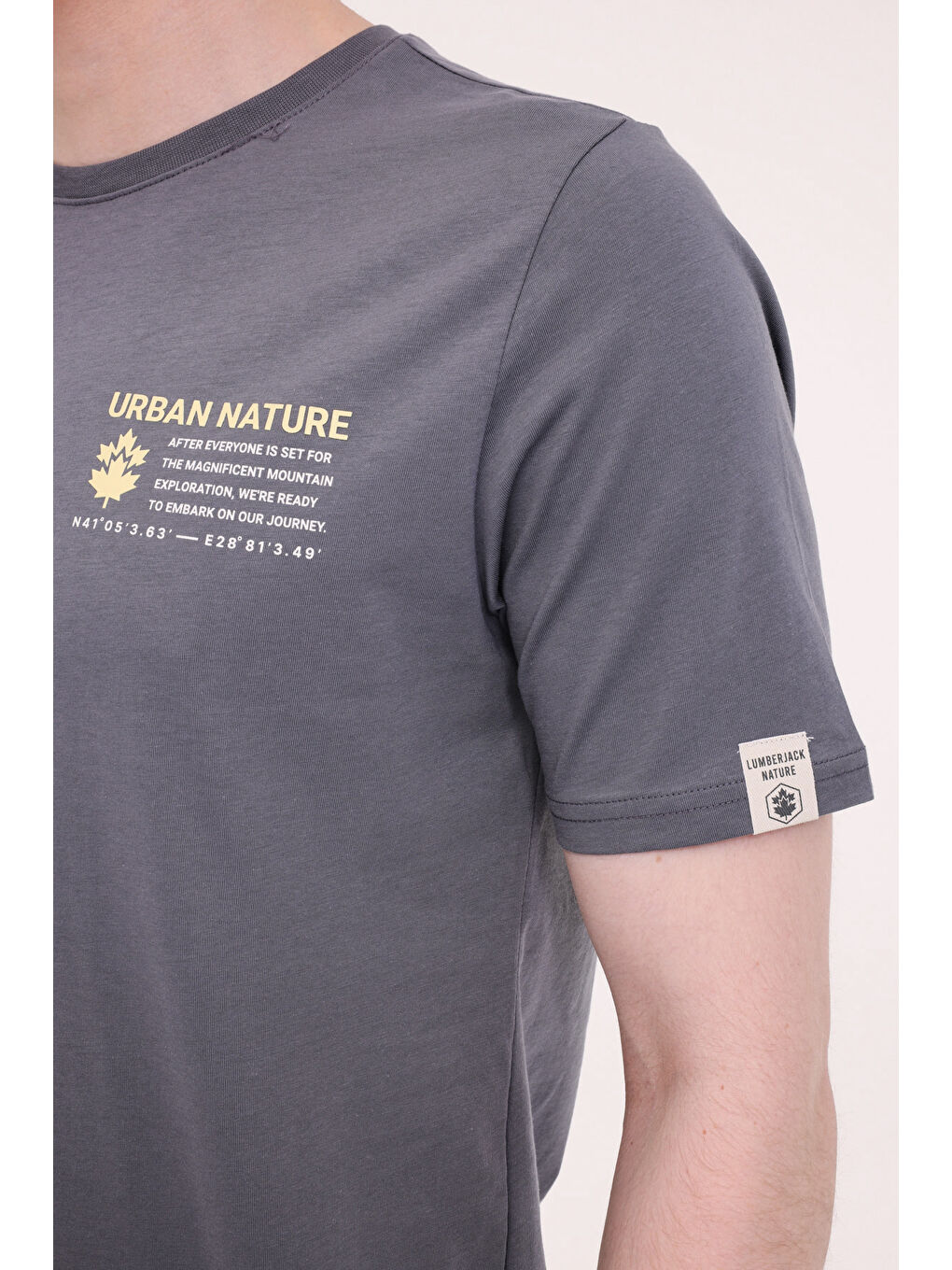 ML RENAS 11TRV16 5PR Gri Erkek Kısa Kol Tişört-3