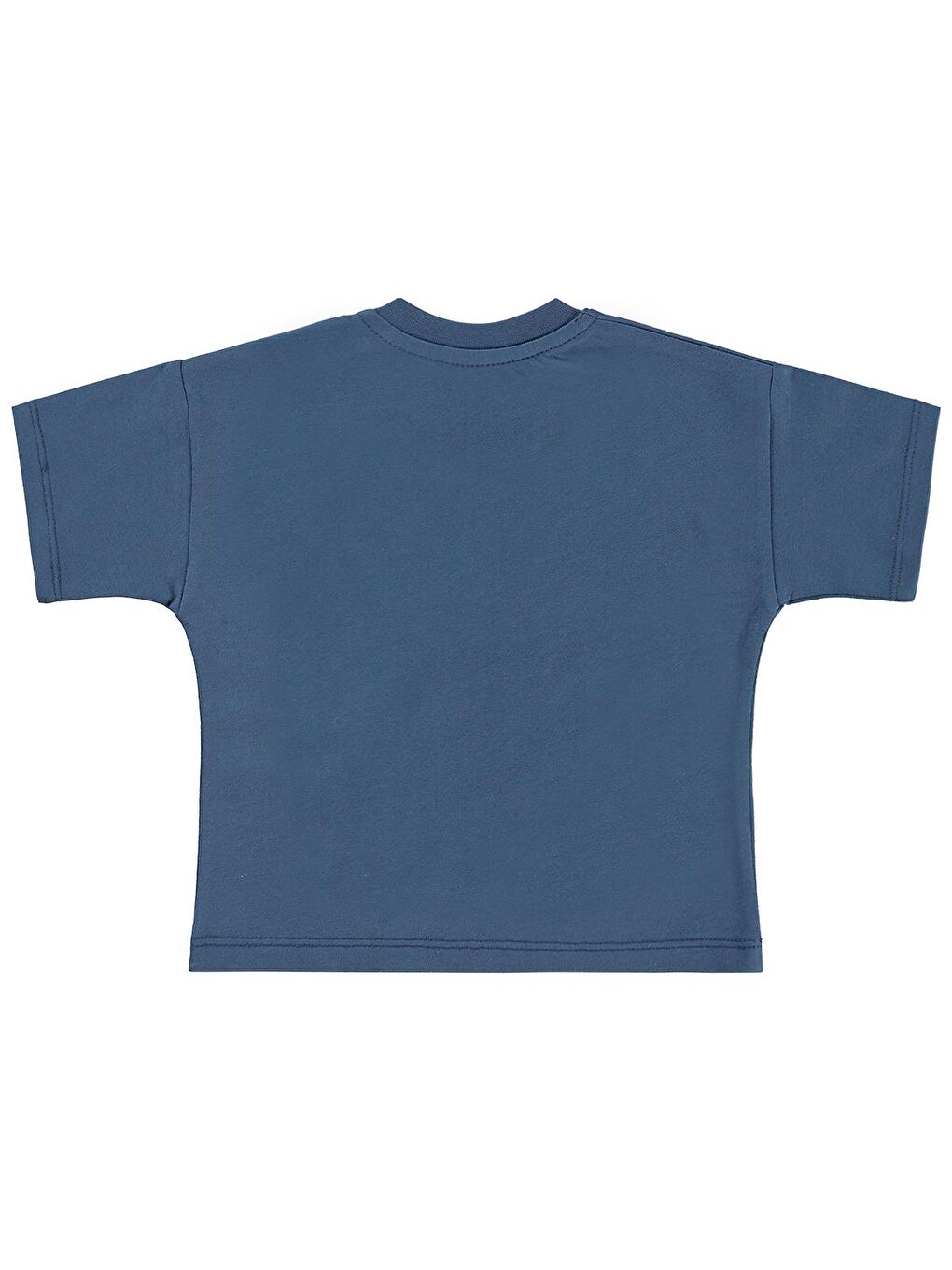 İndigo Baby Summer Days Baskılı 3-12 Ay Tişört - Mavi-1