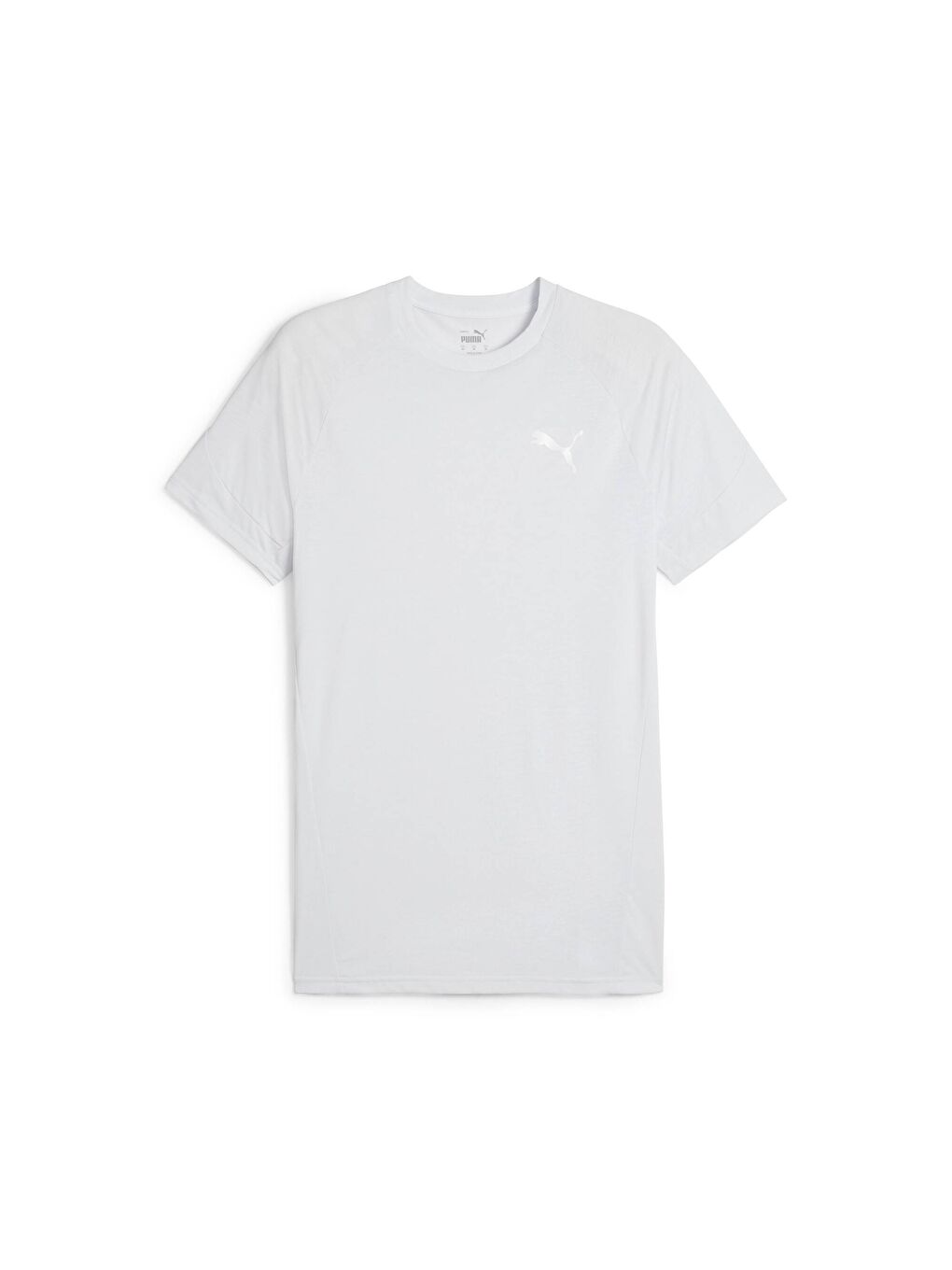 Gri EVOSTRIPE Erkek T-shirt