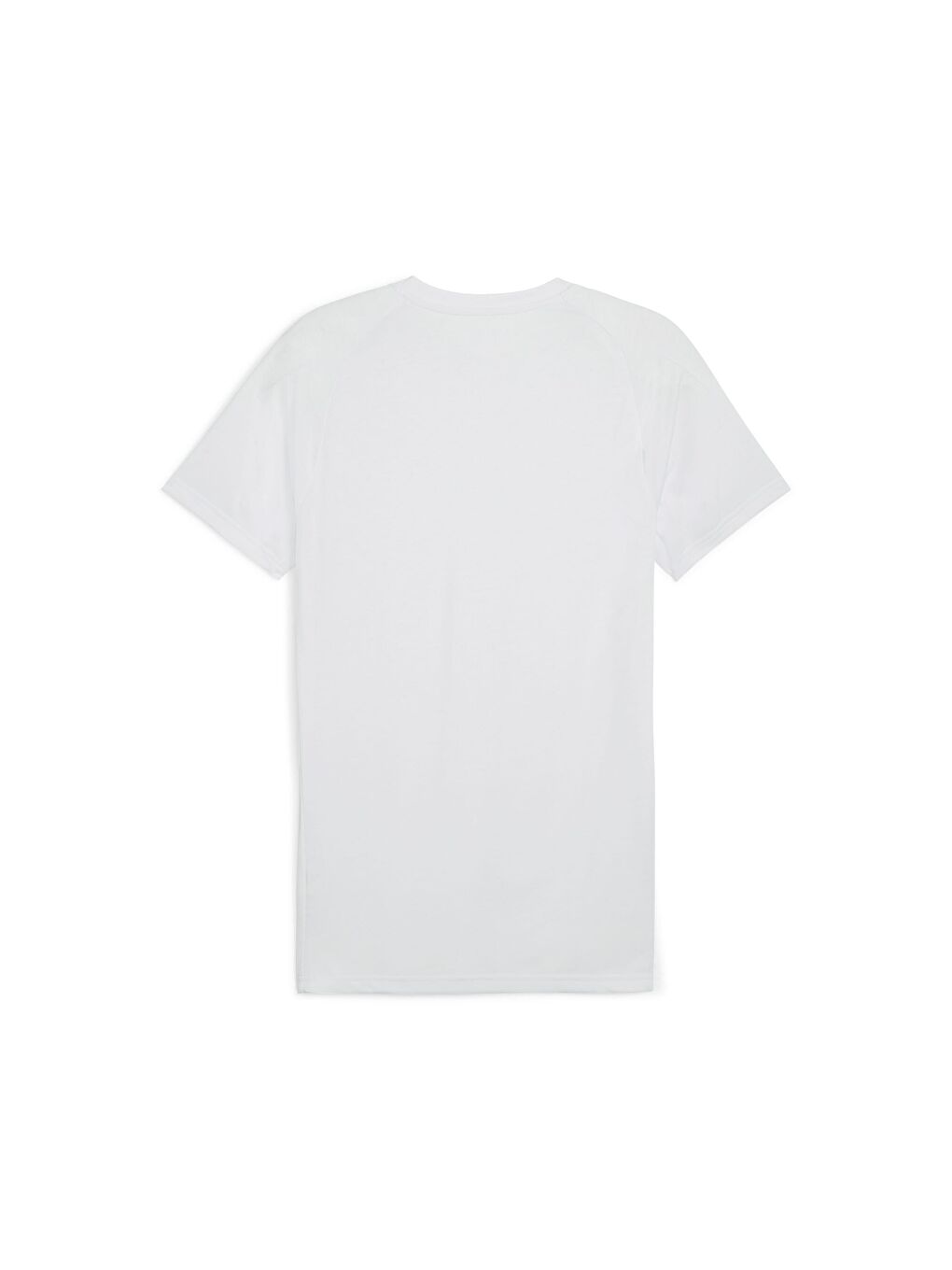 Gri EVOSTRIPE Erkek T-shirt-1