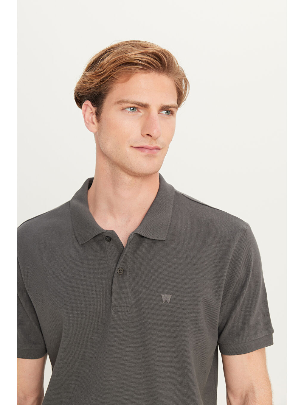%100 Pamuk Regular Fit Normal Kesim Antrasit Polo Yaka Tişört-3