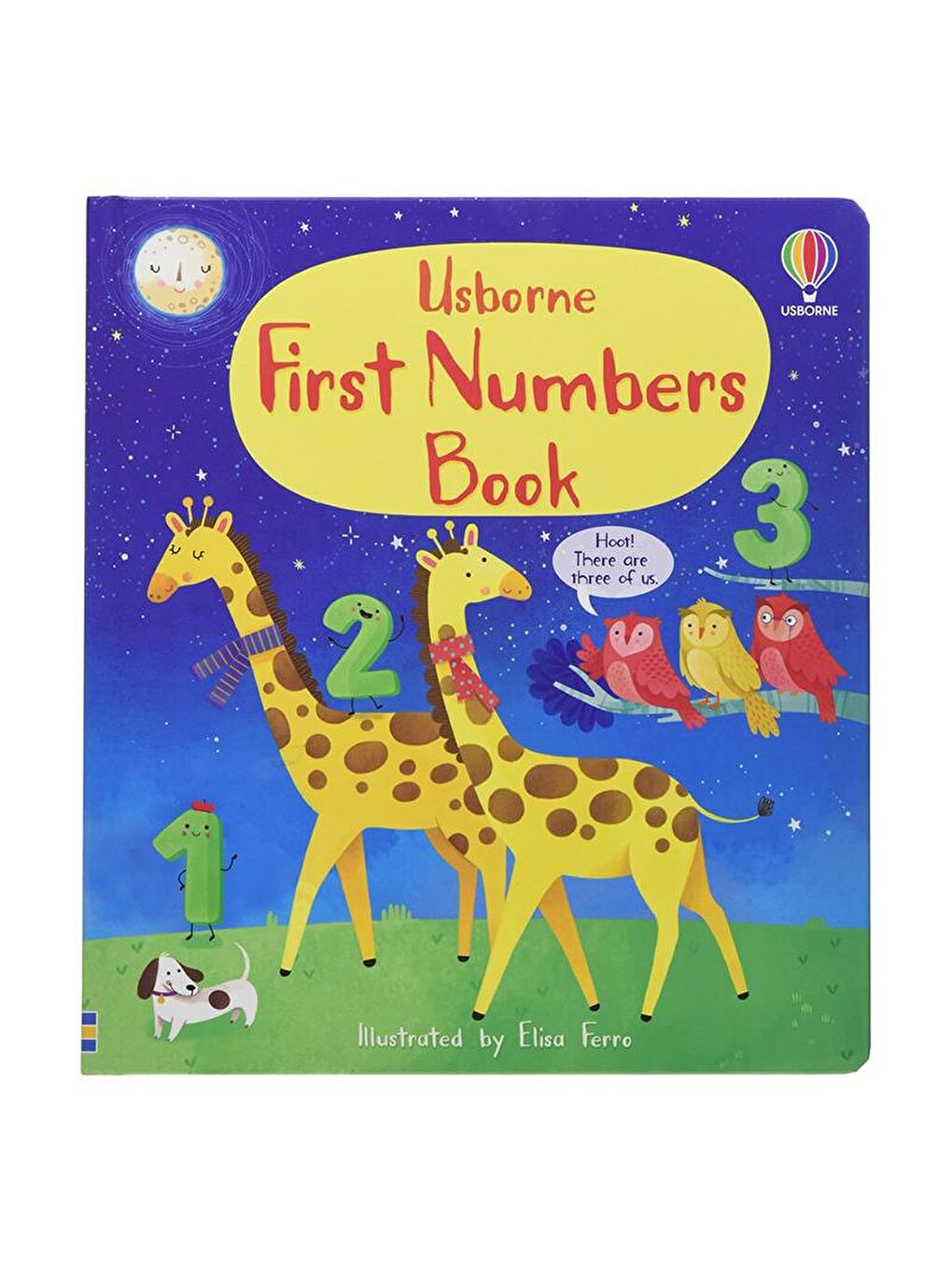 Usborne Renksiz First Numbers Book