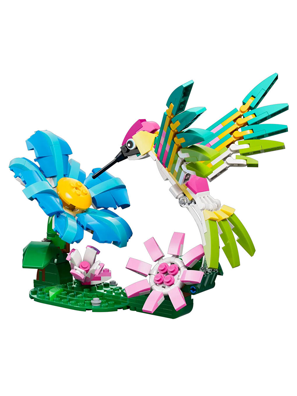 Creator 3’ü 1 Arada Vahşi Hayvanlar: Sinek Kuşu 31384-1