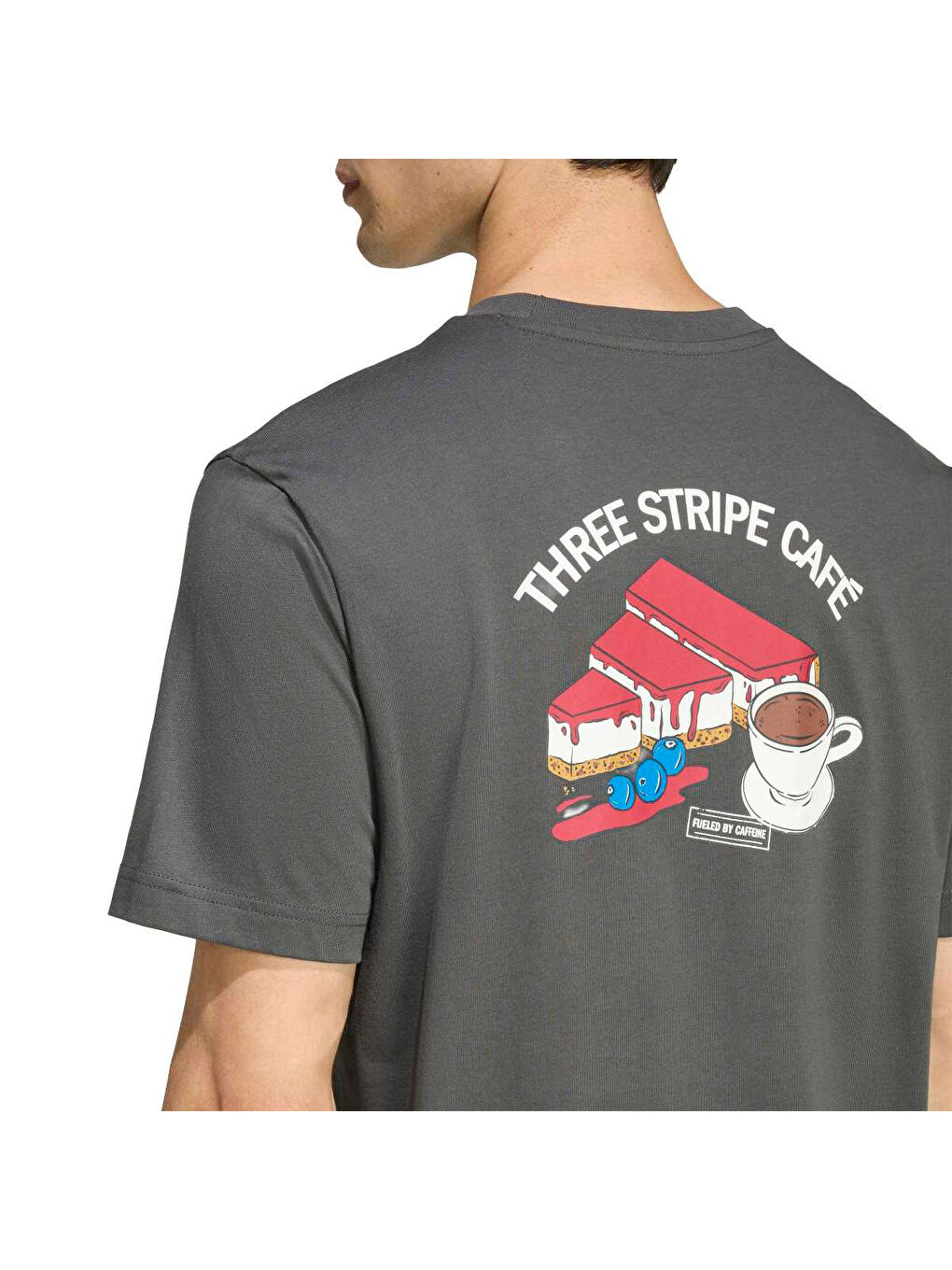 Cheesecake Erkek Gri Yuvarlak Yaka Tişört-2